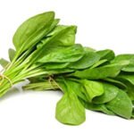 Spinach