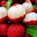 Amazing Facts About Litchi | Nature Info